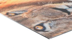 Alu-Dibond Detailfoto